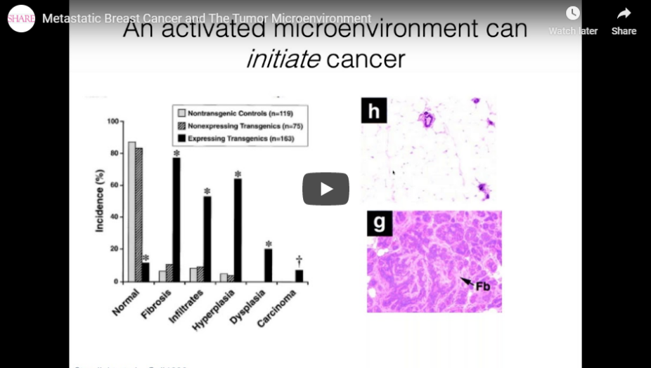 Metastatic Breast Cancer and The Tumor Microenvironment thumbnail