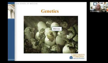 genetics video