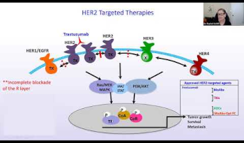 her2 targeted