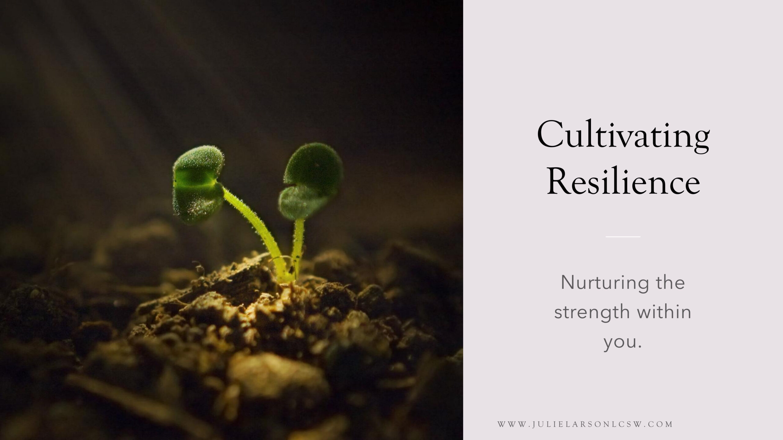 Cultivating Resilience 2025 (1) 1
