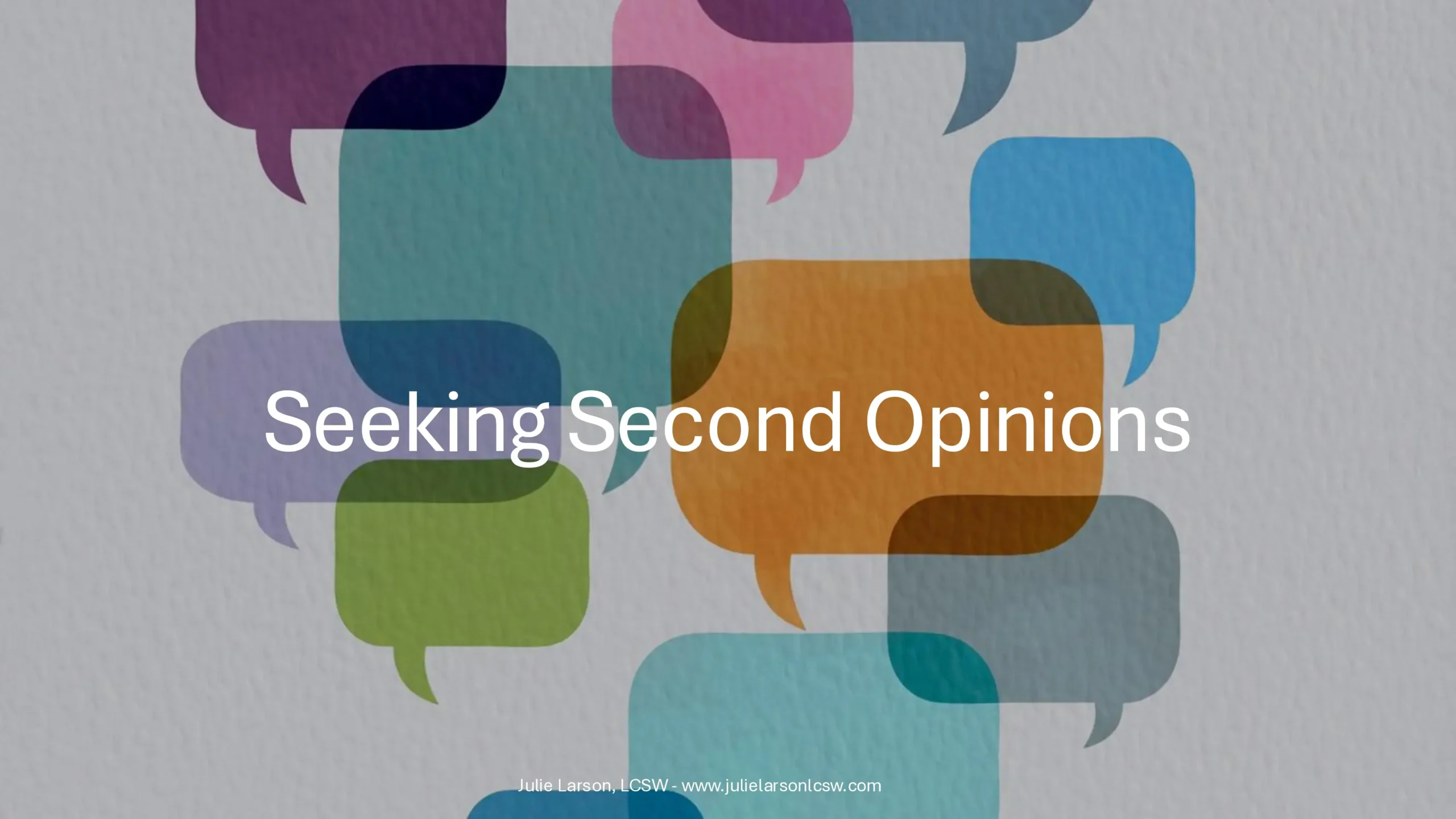 Seeking Second Opinions